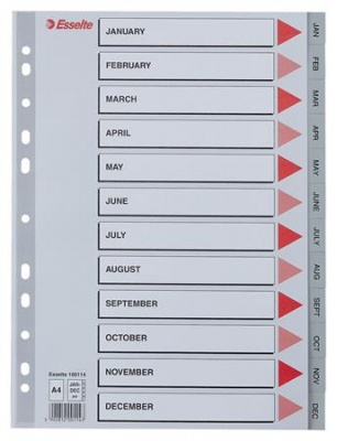 Register, plastový, A4, Jan-Dec, ESSELTE, sivý