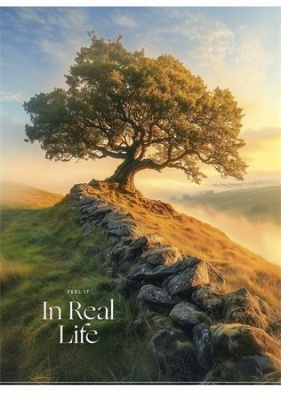 Zošit, A4, štvorčekový, 40 listov, SHKOLYARYK "In Real Life", mix