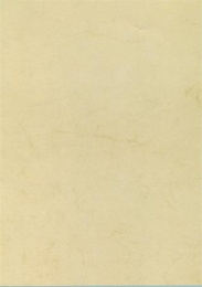 Predtlačený papier, A4, 200 g, APLI, havana